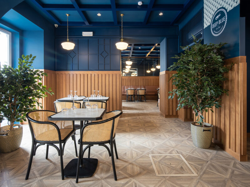 Open project Deep Blue