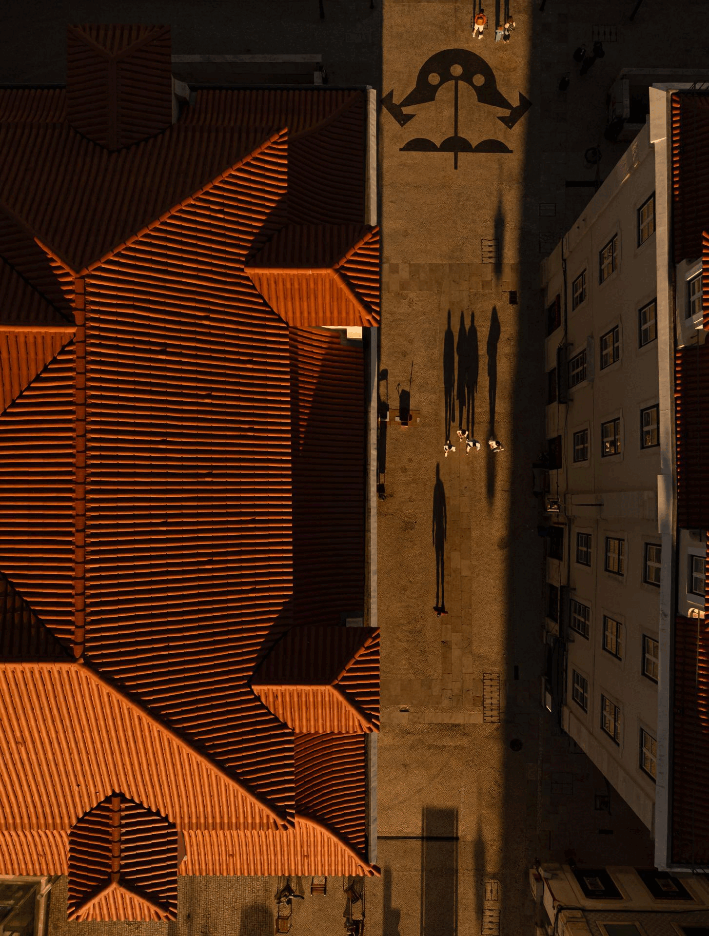 Lisbon gives us light: architecture shapes it and photography preserves it